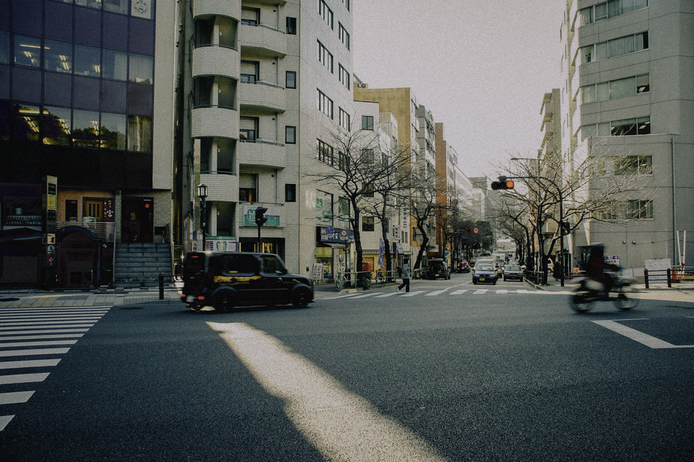 내 사진1